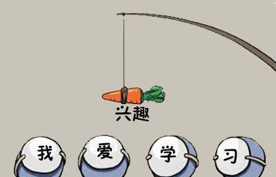 柴叔seo的策略是什么？