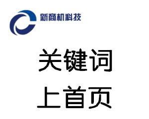 秦皇岛怎么优化网站关键词