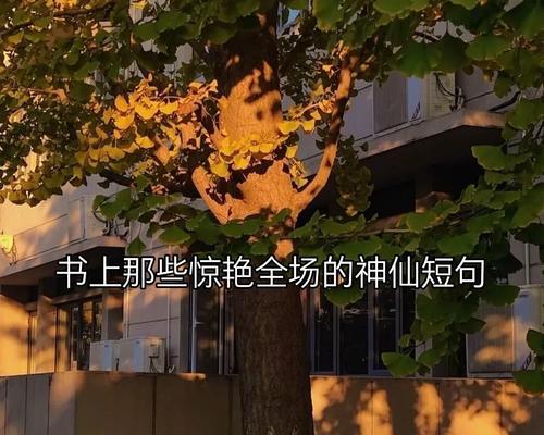 快手文案关键词加虚线怎么弄？操作步骤是什么？