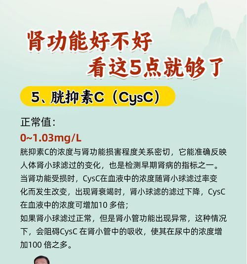 有哪些关键指标需要关注？