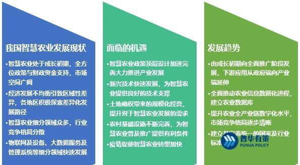 广西网站建设市场前景分析及机遇挑战是什么？