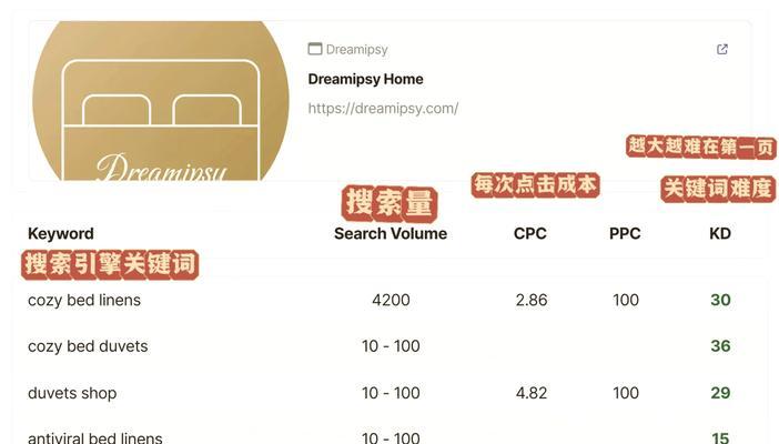 如何进行seo分析？有哪些方法可以深入理解网站表现？
