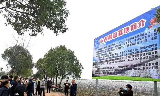 武穴网站制作有哪些特点？