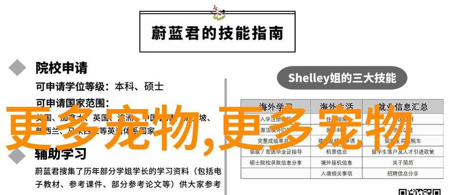 如何使用seo排名快速提升技巧？