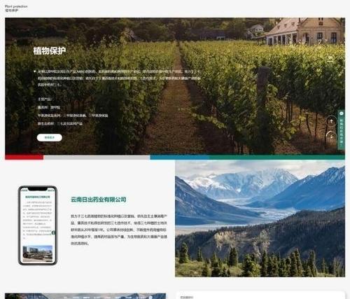 专业网站建设需要考虑哪些因素？如何确保质量？
