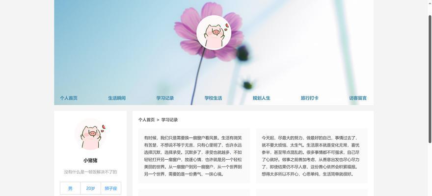 网站设计网站如何选择？哪个平台更专业？