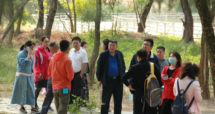漳浦网站开发过程中可能遇到哪些问题？