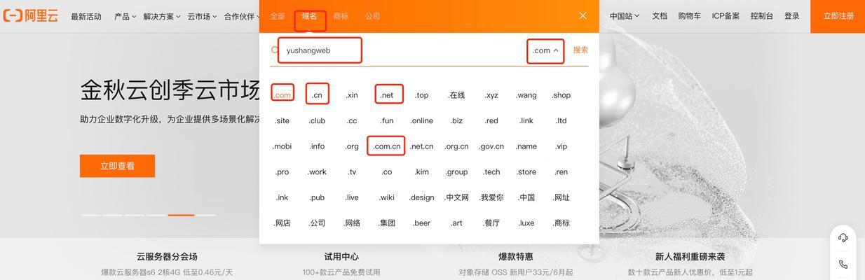 网站到期后如何进行续费操作？