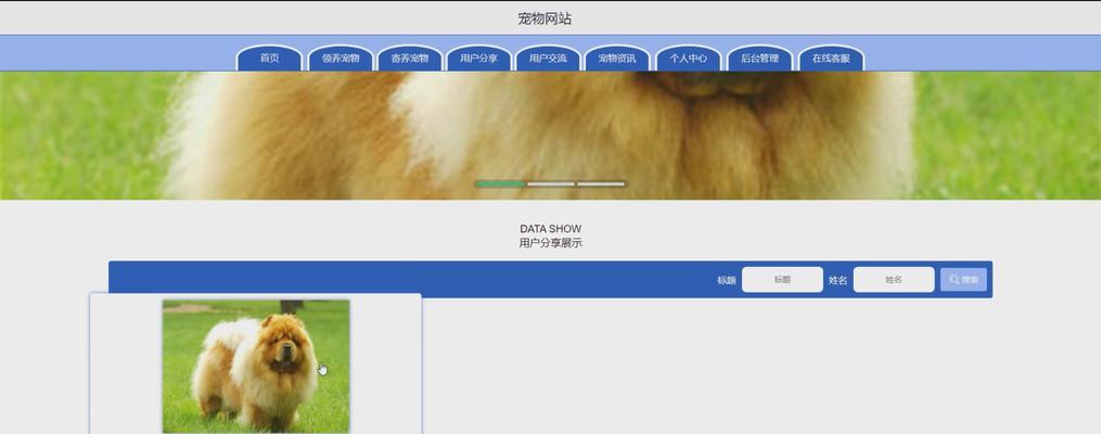 宠物网站模板哪里找？模板是否支持自定义？
