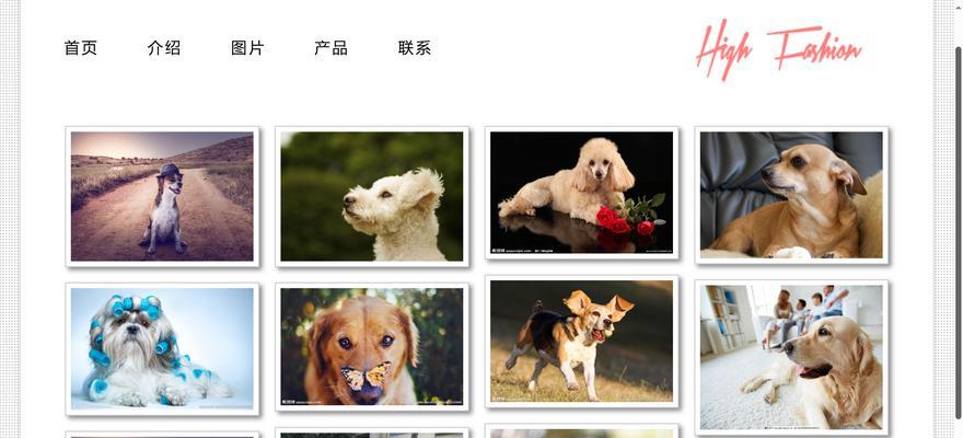网页和网站有什么区别？如何区分？