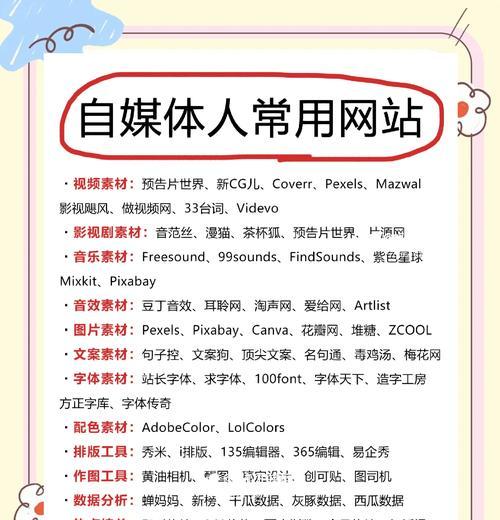 如何通过实战经验分享提升网站排名？