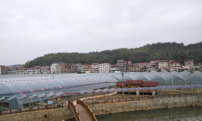 金湖网站建设需要多少钱？如何选择金湖的网站建设服务？