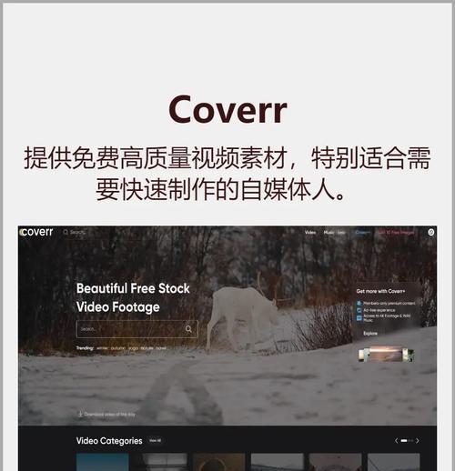 videvo素材下载步骤是什么？下载后如何正确使用视频素材？