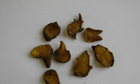 附子seo是什么？附子seo如何助力网站优化效果提升？