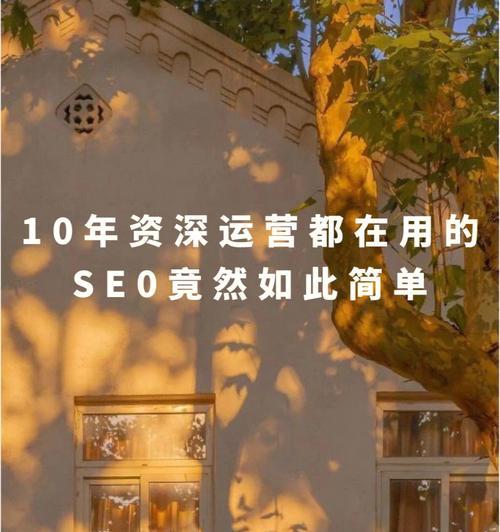 为什么SEO服务价格如此低廉？揭秘背后的原因！！
