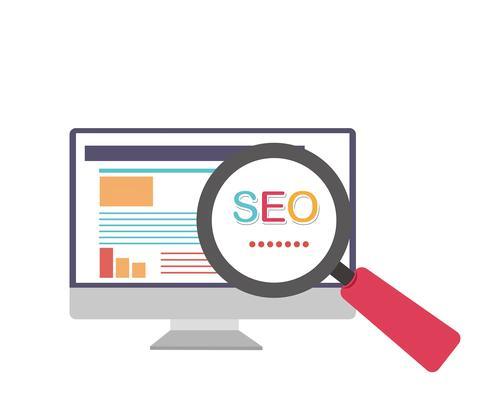 如何定时分析网站优化数据以提升SEO效果？