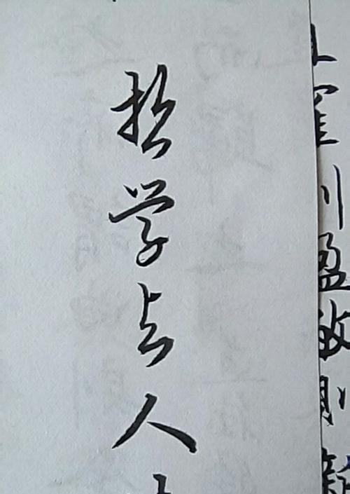如何将SEO技巧融入生活哲学？