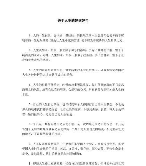 如何将SEO技巧融入生活哲学？