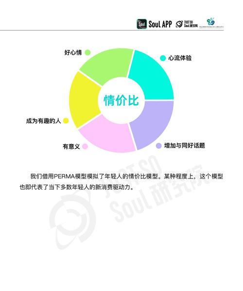 2025年网站社交媒体整合与独立优化哪种更有效？