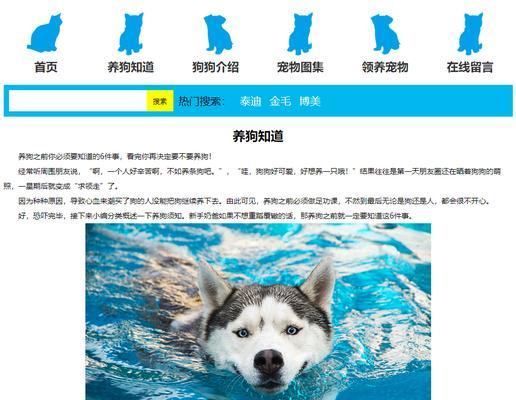 宠物网站模板如何设计？有哪些推荐？