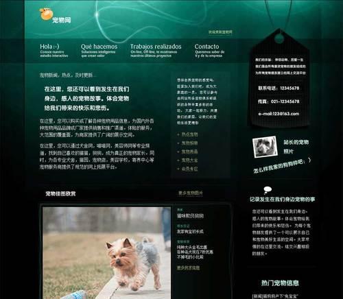 宠物网站模板如何设计？有哪些推荐？
