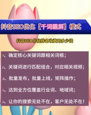 召陵抖音seo优化咨询？如何提升抖音视频的搜索引擎排名？