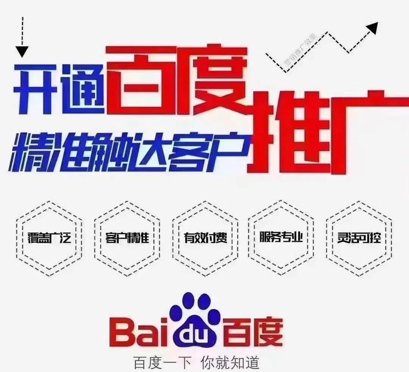 国内的搜索引擎只有一个吗？还有哪些其他选择？