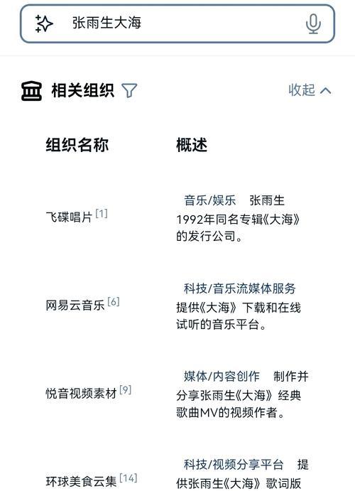 搜索引擎查东西技巧有哪些？如何使用搜索引擎更高效地查找信息？