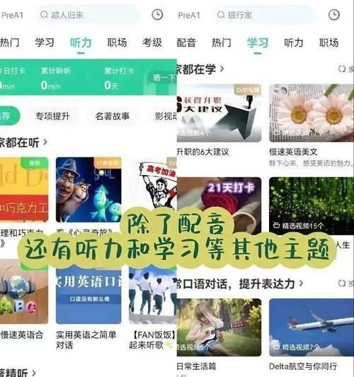搜索引擎告诉我的配音是什么？如何找到配音？