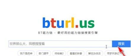 磁链搜索引擎怎么搜索的？使用磁链搜索需要注意什么？