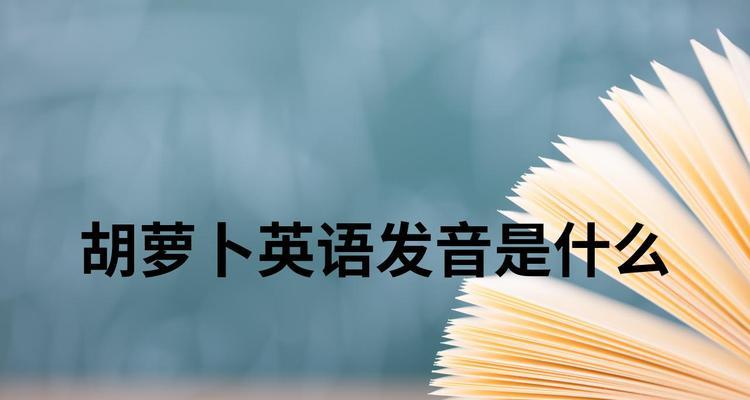 洋葱搜索引擎怎么翻译？洋葱搜索引擎的翻译功能如何使用？