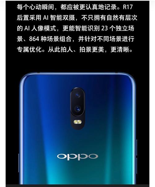 望都网站设计如何进行排名优化？