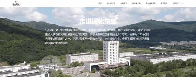 东宝SEO优化排名效果如何？