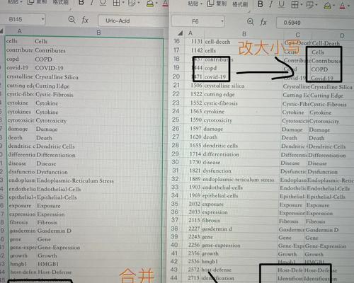 B站屏蔽关键词使用正则表达式的方法？