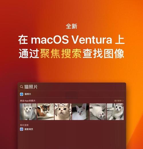 快手怎么查找搜索关键词？搜索关键词的查找步骤是什么？