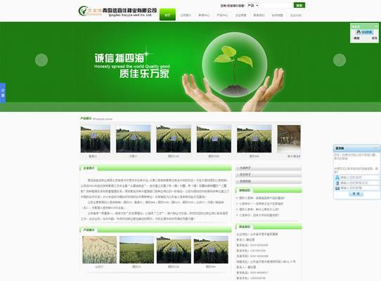 淮北网站建设优化公司有哪些？