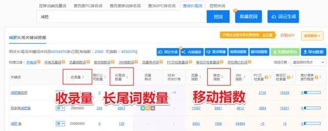 小白站长如何优化谷歌搜索引擎排名？