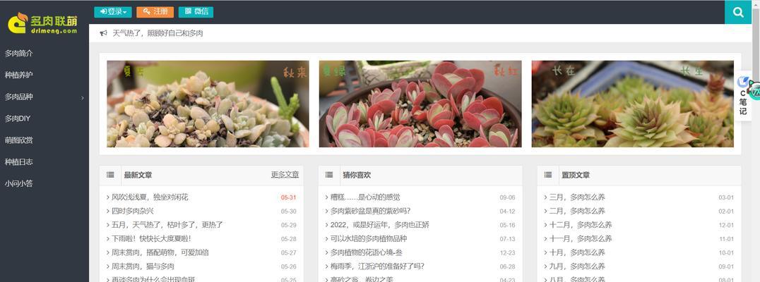 网站搜索引擎优化技术有哪些类型？