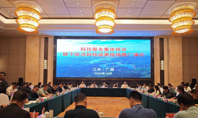 如何做演示网站推广工作？有效策略和常见问题解答？
