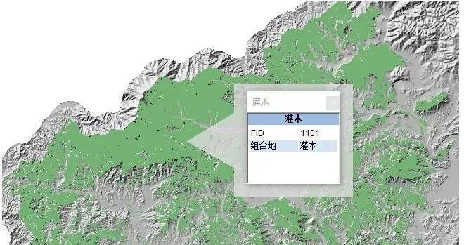 坡度分析网站怎么做？如何确保分析的准确性？