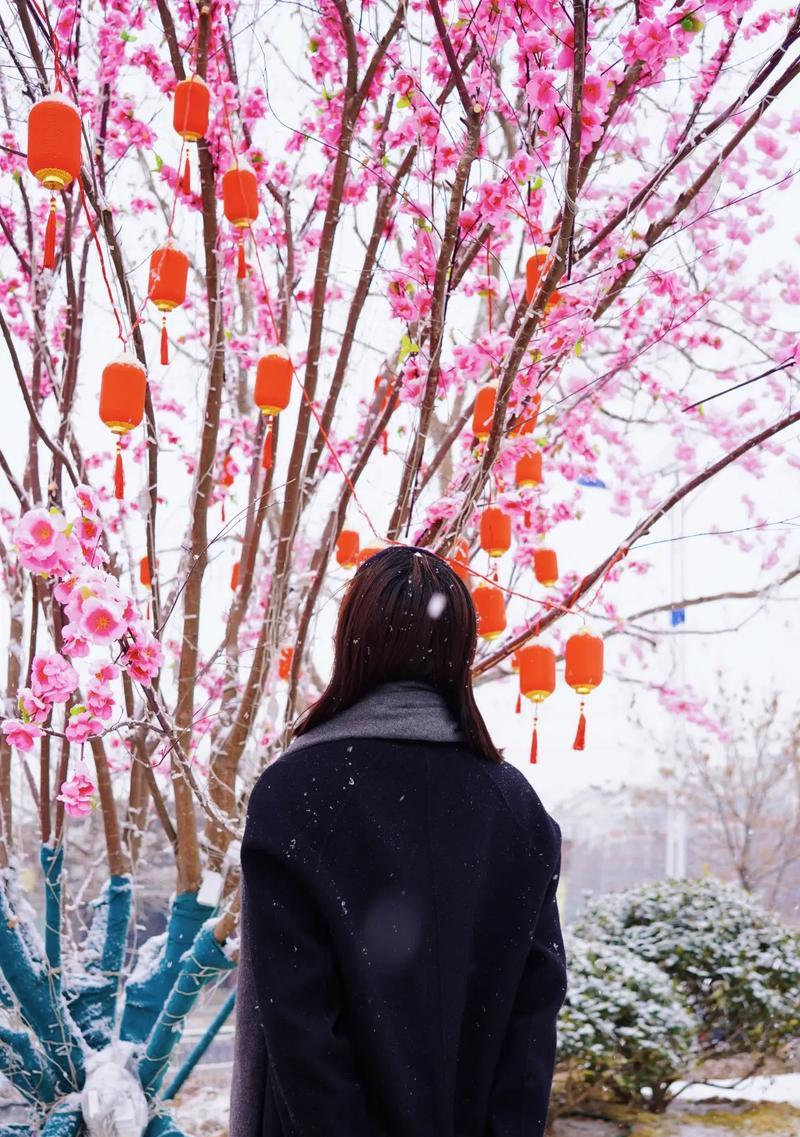抖音雪天剪辑怎么做？视频编辑技巧有哪些？