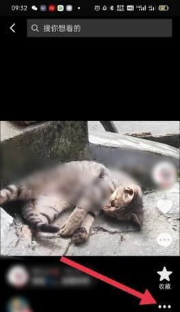 新版本抖音剪辑视频怎么删除？遇到无法删除视频的常见问题如何解决？