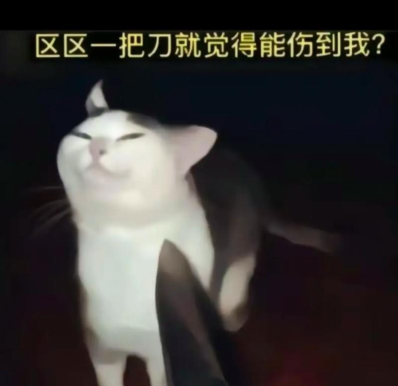 抖音生活记录剪辑怎么删除？遇到无法删除的情况怎么办？