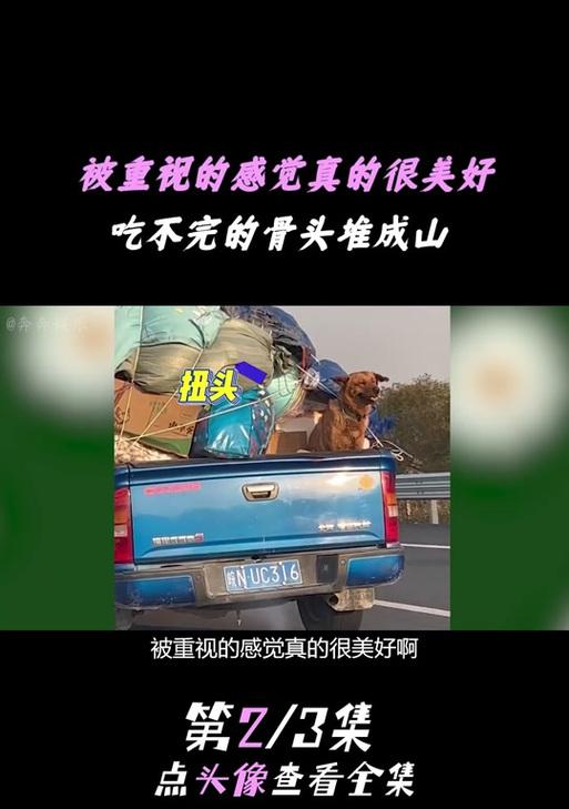 卖狗的抖音视频怎么剪辑？剪辑技巧和常见问题解答？