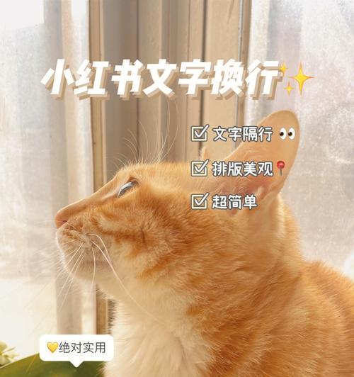 小红书视频剪辑文字的方法是什么？如何添加文字到小红书视频中？