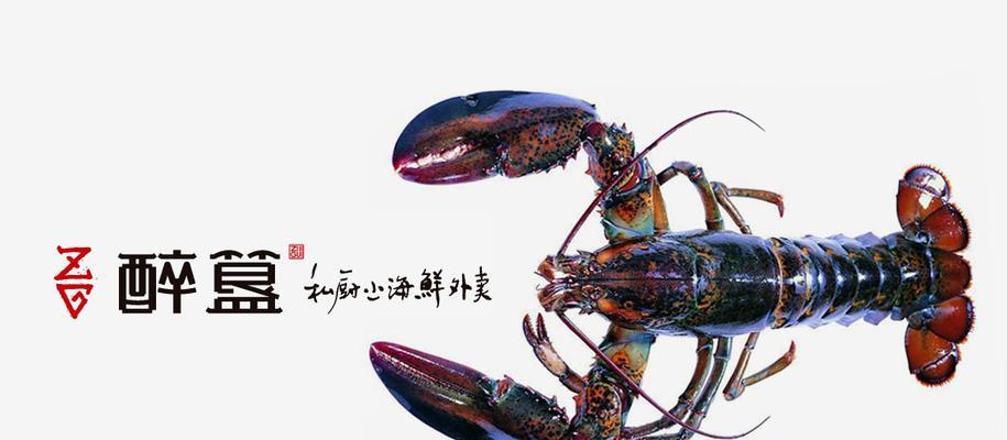 如何推广海鲜网站？有效策略和常见问题解答？