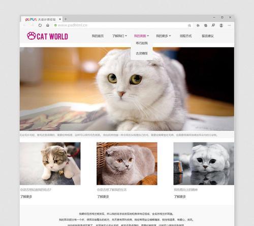 DW中HTML标签有哪些类型？如何分类使用？