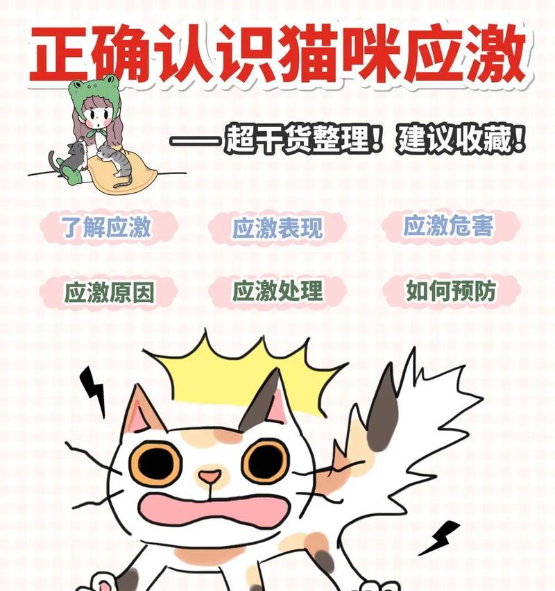 小猫的抖音音乐剪辑功能怎么用？常见问题有哪些？