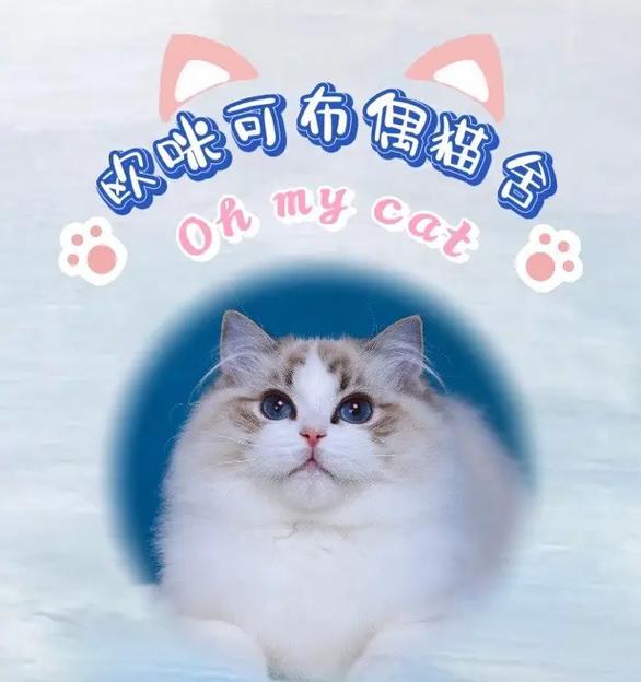 小猫的抖音音乐剪辑功能怎么用？常见问题有哪些？