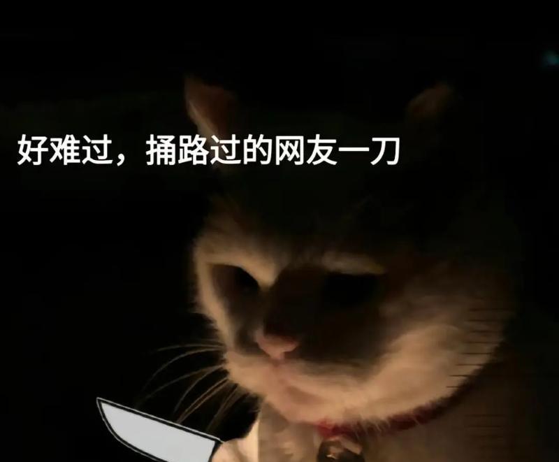 小猫的抖音音乐剪辑功能怎么用？常见问题有哪些？